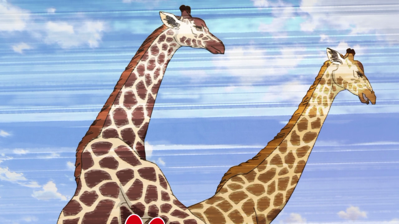 Narration: "For giraffes, 90% of copulation occurs between males"...